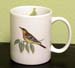 MUG-110OR - Oriole Plain Mug    